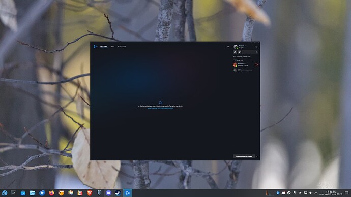 BattleNet
